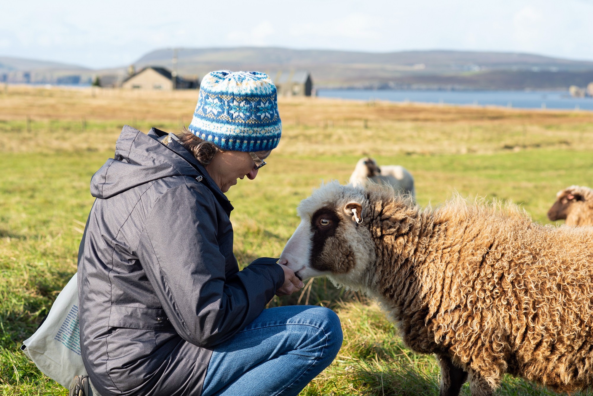 Shetland Wool Week is back for 2022 Shetland Amenity Trust